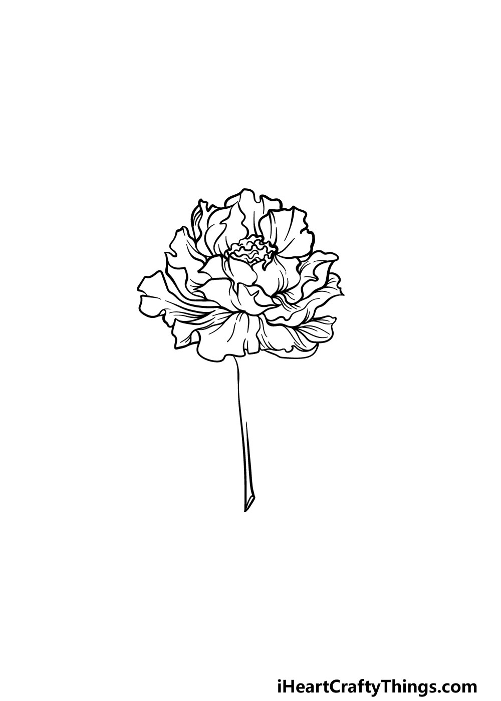 drawing peony step 4