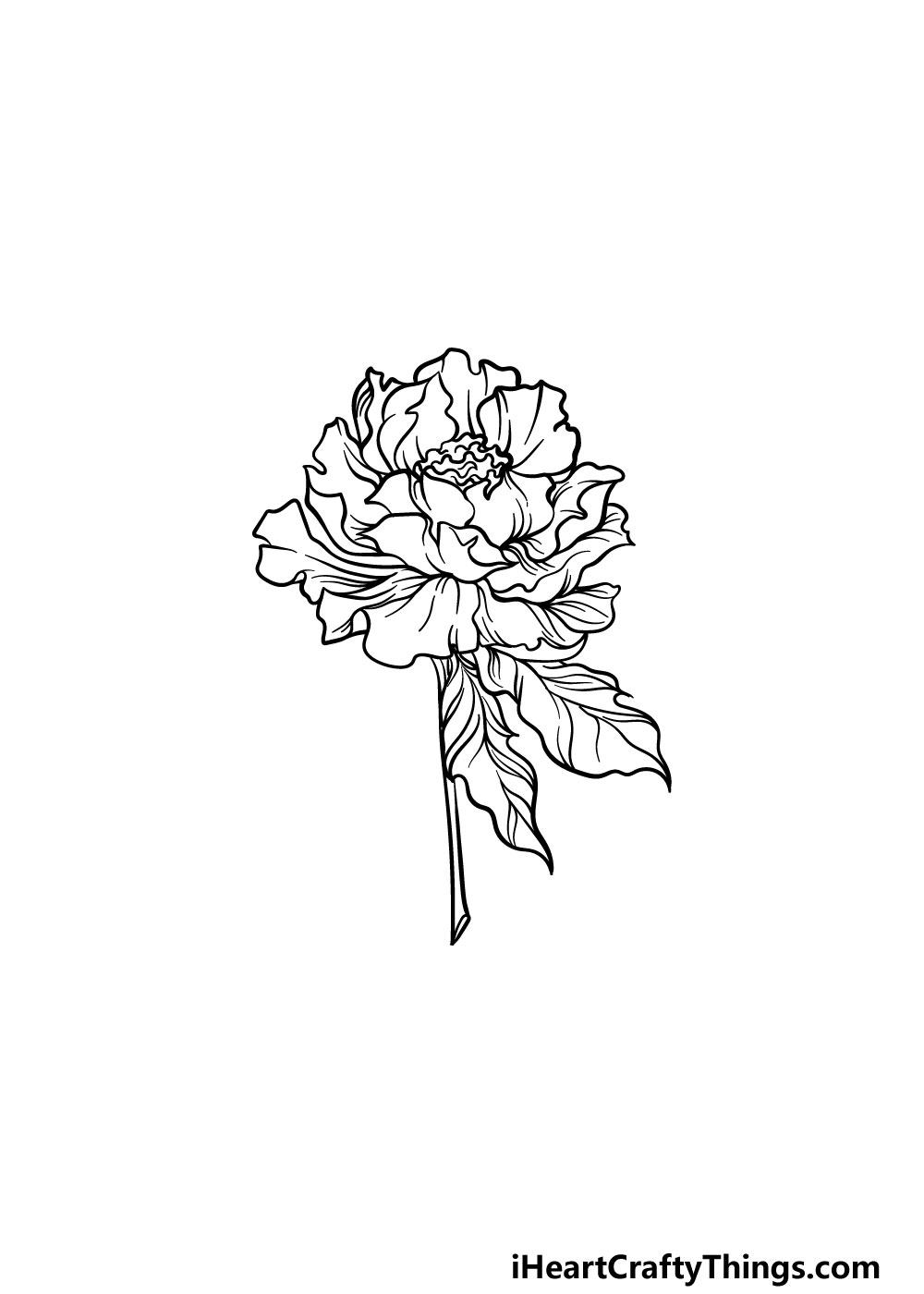 drawing peony step 5