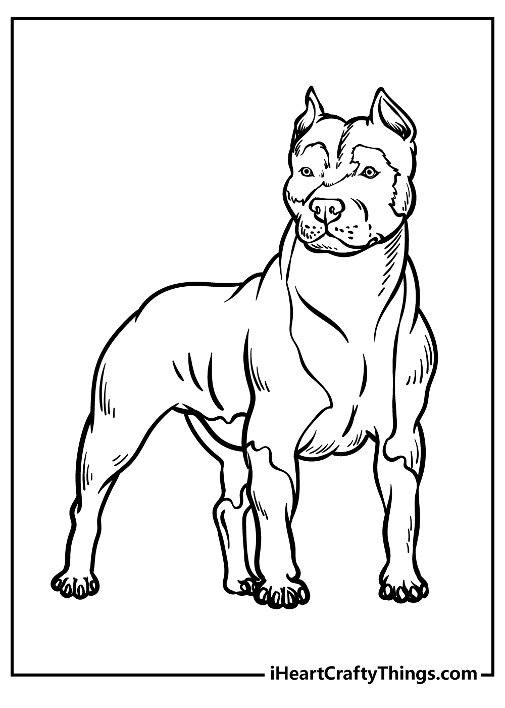 Pitbull Coloring Sheets