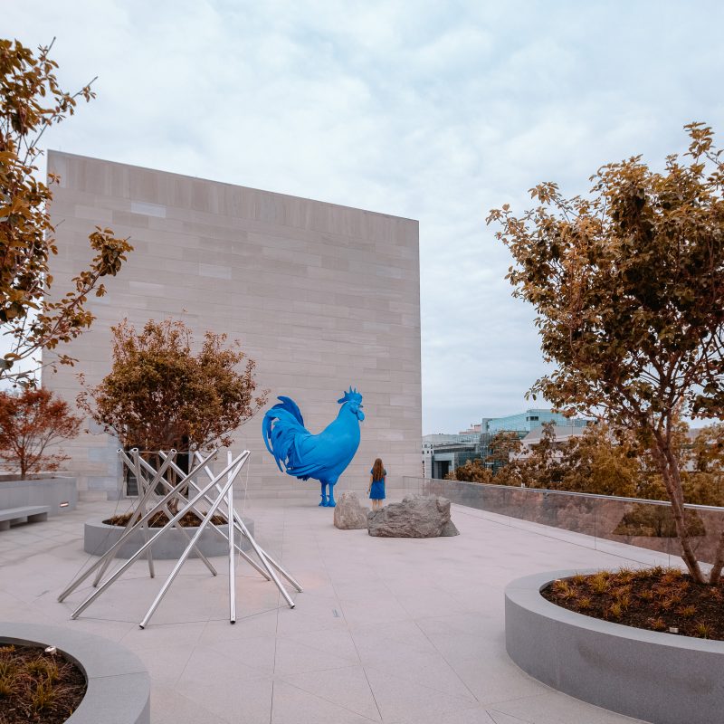 Photos From The National Gallery Of Art Roof Terrace