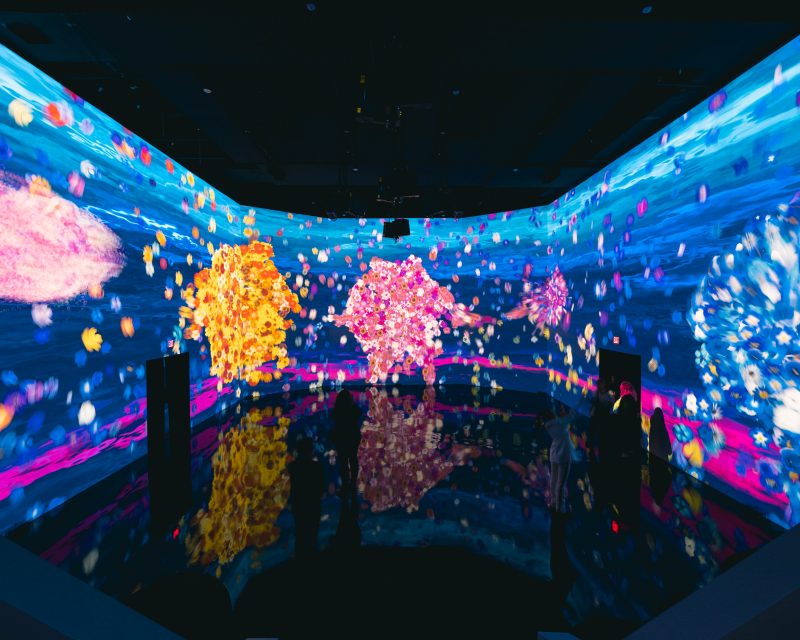 ARTECHOUSE Cherry Blossom Art Installation (Spring 2019)