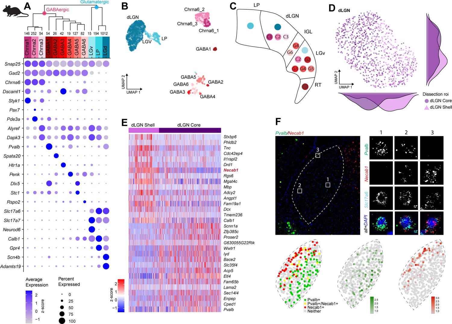 Somatosensory Neuron Types And Their Neural Networks As, 41% OFF