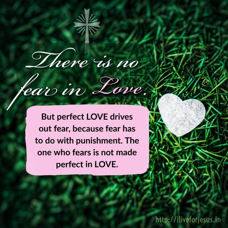 No Fear In Love - I Live For Jesus