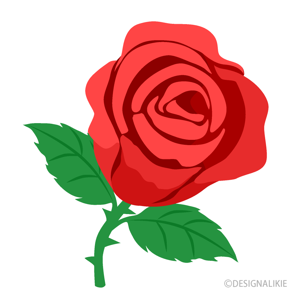 Beautiful Red Rose Clip Art