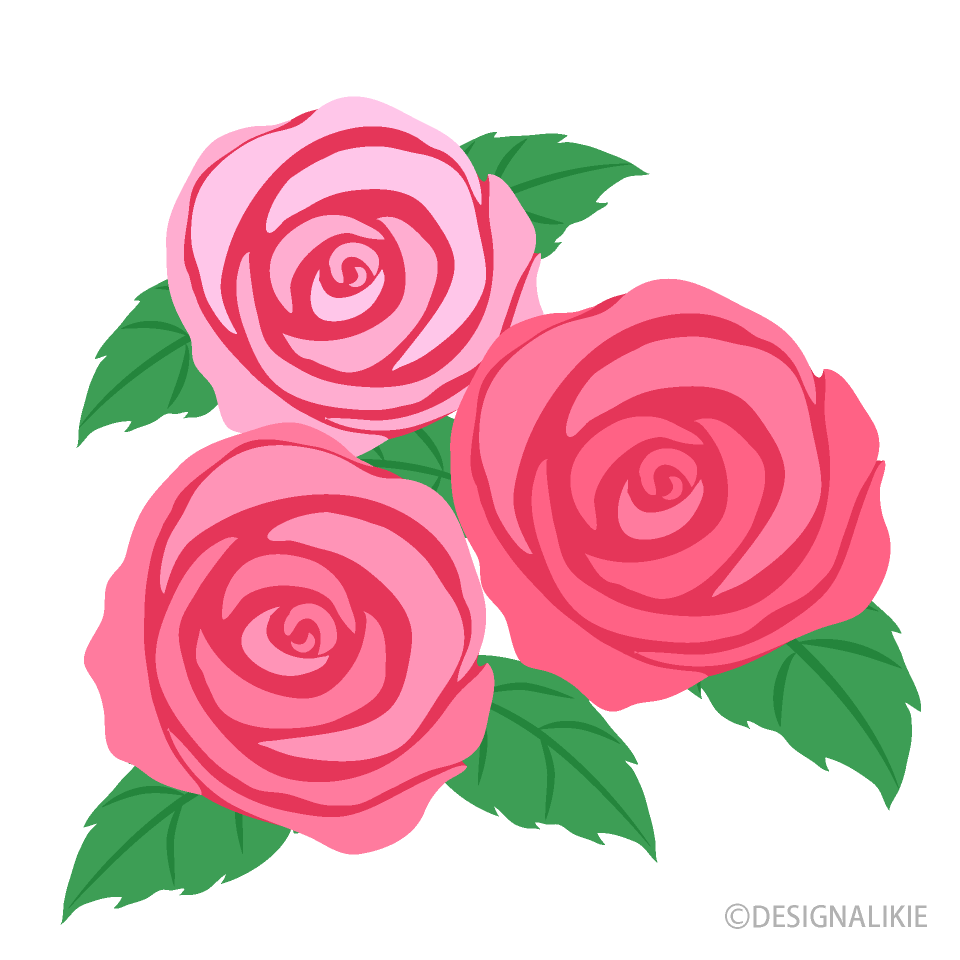 Pink Roses Clipart