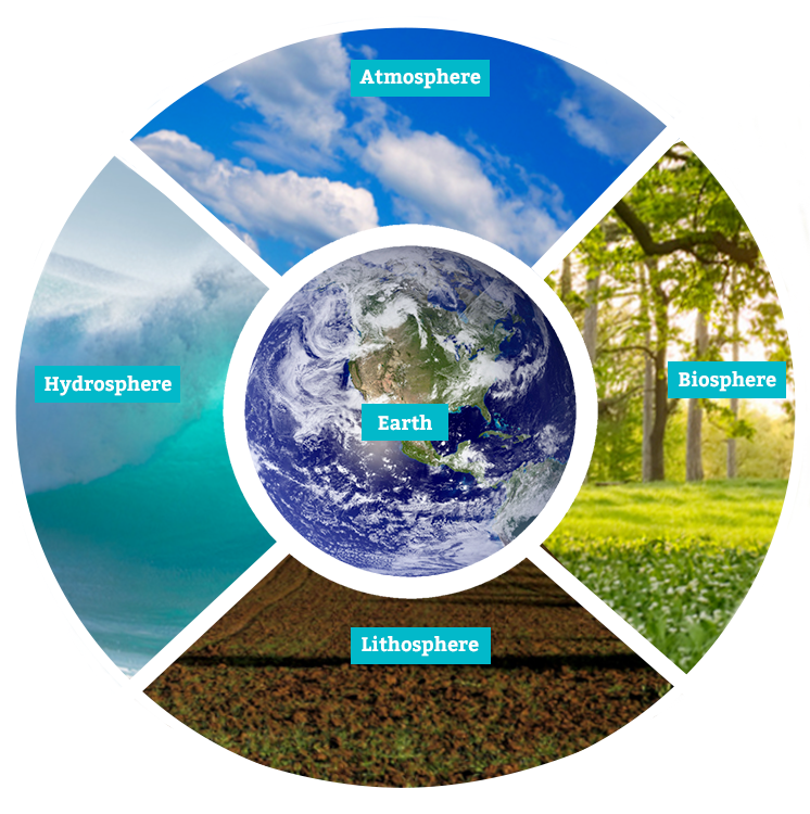 Feedback Loops in the Earth System