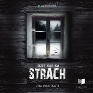 Strach - Audiokniha MP3