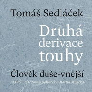 Druhá derivace touhy - Audiokniha MP3