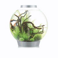 biOrb CLASSIC 105 MCR Silver - Aquarium