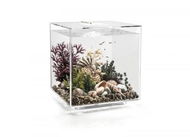 biOrb CUBE 60 MCR, Transparent - Aquarium