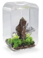 biOrb LIFE 60 MCR Clear - Aquarium