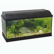 Pacific 100 aquarium with equipment 120 l 100 × 30 × 40 cm 30 W - Aquarium Kit