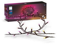 Philips Hue Festavia 40m light chain - Light Chain