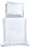 SCANquilt prikrývka COMFORT COTTON LIGHT AB/AM - Prikrývka