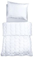 SCANquilt prikrývka COMFORT COTTON PLUS AB/AM - Prikrývka