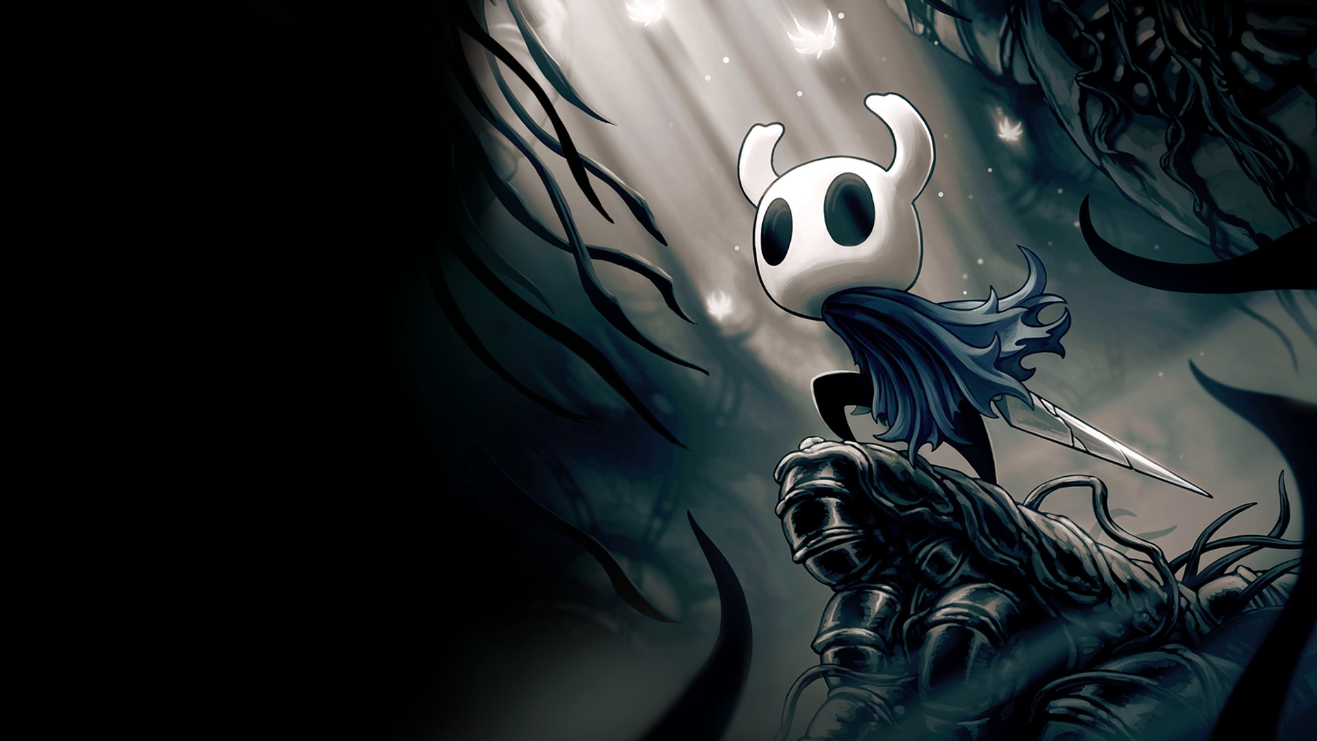 Hollow Knight Voidheart Edition