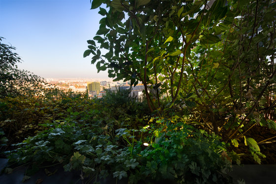 BOSCO VERTICALE | Manufacturer references | Linea Light Group