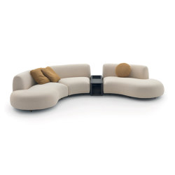 Tokio Sofa - Curved Version | Sofas | ARFLEX