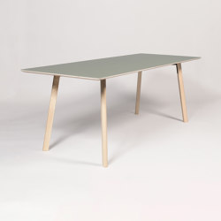 Y table | Dining tables | modulor