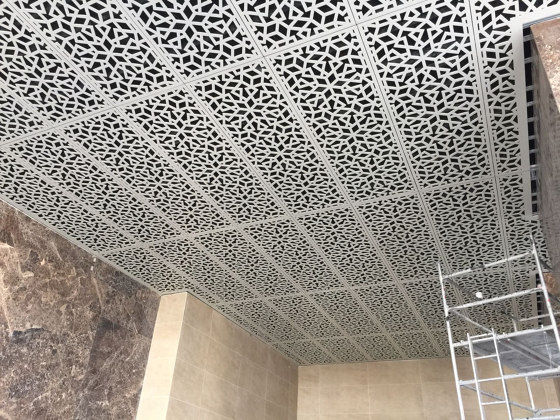 MDF design | Ceiling Elements | Ceiling panels | Bruag