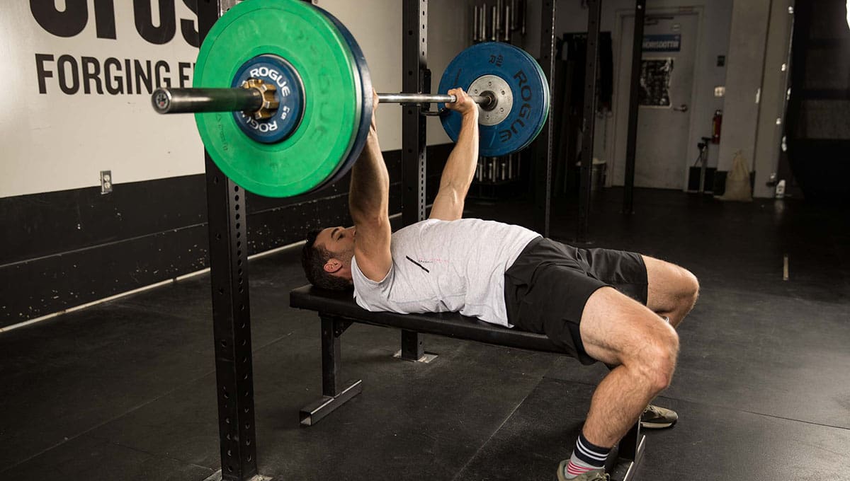 Bench Press Works What Muscles Lets Investigate Boxrox