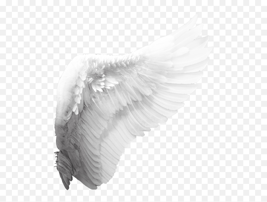 Angel Wing Psd Official Psds Emoji,Angel Wing Emoji