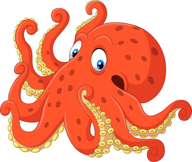 Pulpo Feliz De Dibujos Animados Vector Premium | Images and Photos finder