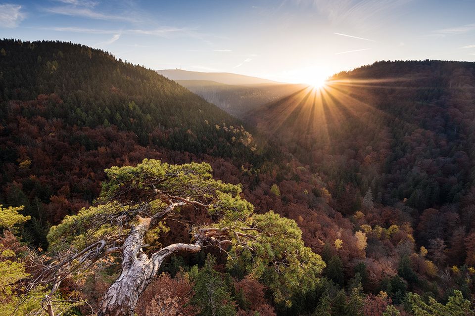 Blick auf den Brocken