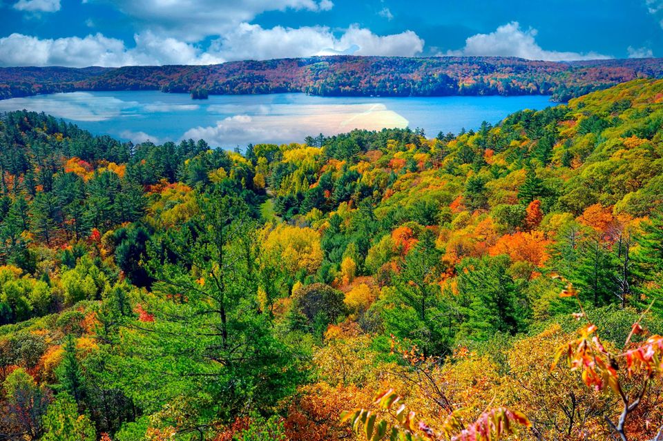 Bunter Herbstwald und See, Blick von oben