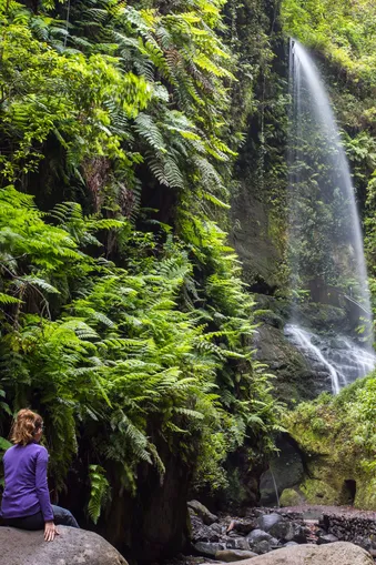 Een persoon in een paarse trui zit op een rots op de voorgrond en kijkt naar een groene helling begroeid met varens. Rechts stroomt een waterval zacht naar beneden.