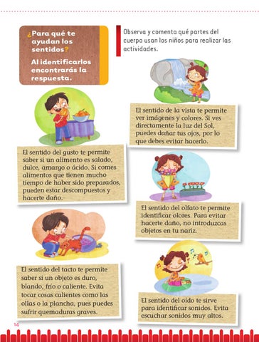 Exploración de la Naturaleza y la Sociedad 1er. Grado by Rarámuri - Issuu