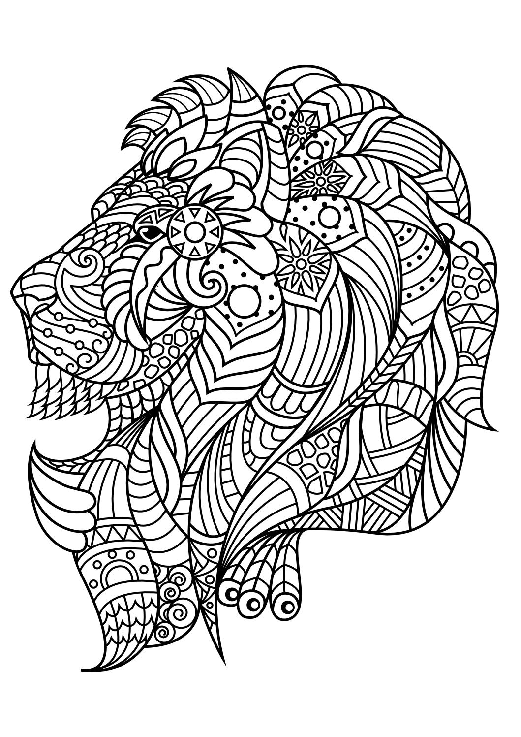 Download Animal coloring pages pdf by Marko Petkovic - Issuu