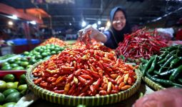 Harga Kebutuhan Bahan Pokok di Pasar Tradisional Ini Relatif Terkendali - JPNN.com