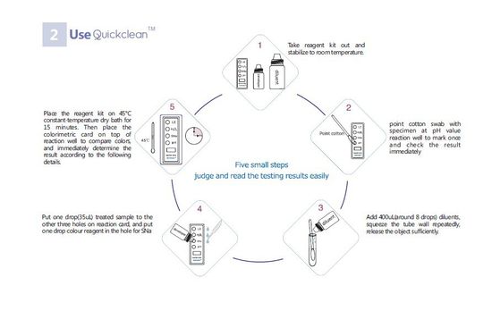 China in Vitro Diagnostic Reagents Rapid Test Kit for BV Bacterial ...