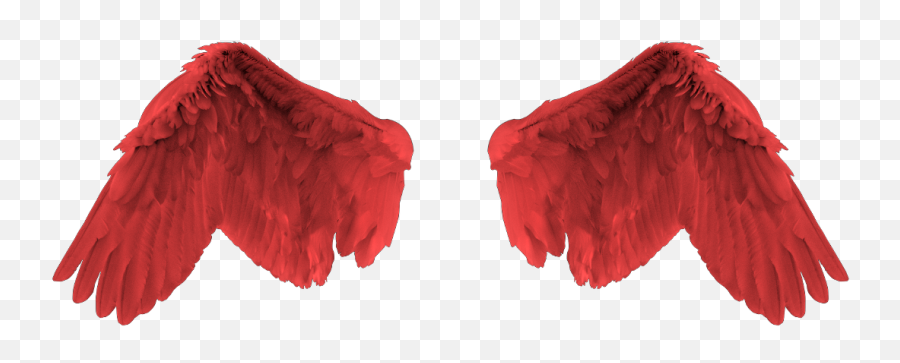 Download Red Angel Wing Png Image With No Background - Red Angel Wings Png,Wing  Png - free transparent png images 