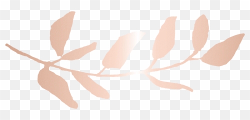 Free transparent rose gold png images, page 1 