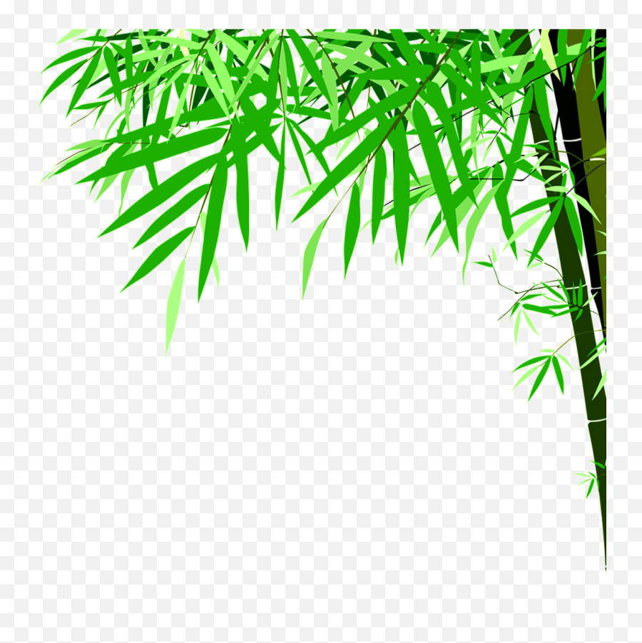 Green Bamboo High Definition Beauty Png - Bamboo Vector Hd Png,Bamboo  Transparent Background - free transparent png images 