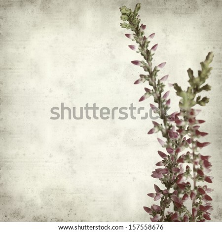 textured old paper background with heather