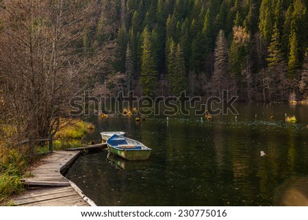 Lacul Rosu the Red Lake or Killer Lake, Eastern Carpathians, Romania