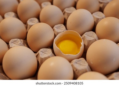 Flat lay Close-up view of raw chicken eggs in egg paper box. One egg cracked showing the yolk. Top view Natural organic egg. Fresh chicken eggs, organic eggs