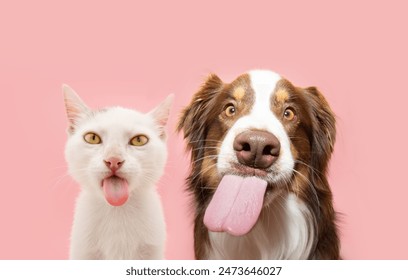 Funny hungry pets eating. Dog andcat licking its lips with tongue. Isolated on pink pastel background on summer or sping season