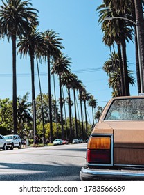 Los Angeles Retro Car and Palm Trees