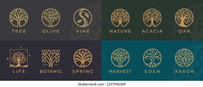 Abstract Tree of life logo icons set. Botanic plant nature symbols. Tree branch with leaves signs. Natural design elements emblem collection. Vector illustration.