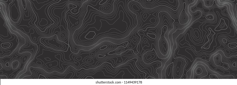 Background of the topographic map. Topographic map lines, contour background. Geographic abstract grid. EPS 10 vector illustration.
