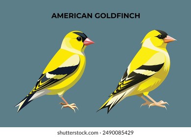 Beautiful American Goldfinch on color Background editable vector illustration