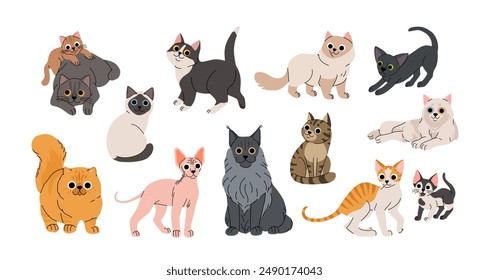 Cute cartoon cat breeds set. Adorable domestic cats sitting, standing. Fluffy birman, oriental, cornish rex, maine coon, sphynx, siamese, shorthair, persian. Lovely kitten flat vector collection.