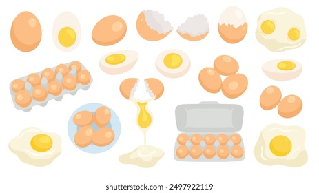 Eggs set. Raw, boiled, whole and sliced, peeled and broken eggs. Scrambled eggs, omelette, yolks, eggshell, egg carton box isolated on white background. Poultry farming theme. Flat Vector illustration