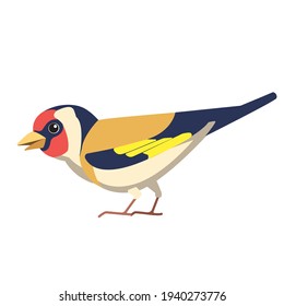 European goldfinch is a small passerine bird in the finch family. British Finches Bird cartoon flat style beautiful character of ornithology, vector illustration isolated on white background.