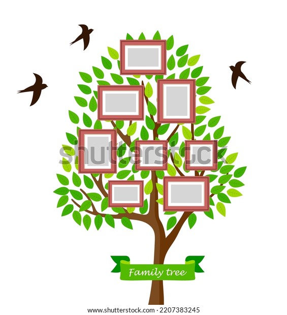 Family Tree Vector Illustration Frames Portraits Stock Vector (Royalty ...