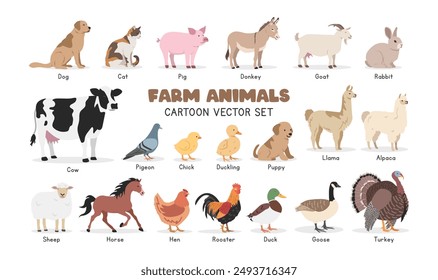 Farm animals vector illustration set. Domestic animals cartoon clipart set in flat style. Dog, cat, pig, donkey, goat, turkey, rabbit, dairy cow, pigeon, sheep, chicken, hen, duck, flat vector design